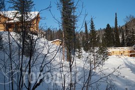 Строится эксклюзивная усадьба из крупного бревна кедра. Фото