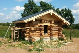 Строительство гостевого домика из рубленного бревна (сруб в диком стиле)