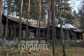 Деревянная баня из рубленного бревна с бассейном из каркаса. Вид со строны бассейна