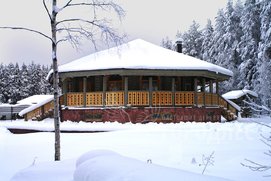 Фасад шатровой бани из тонированного бревна сосны в усадьбе "У ручья". Фото